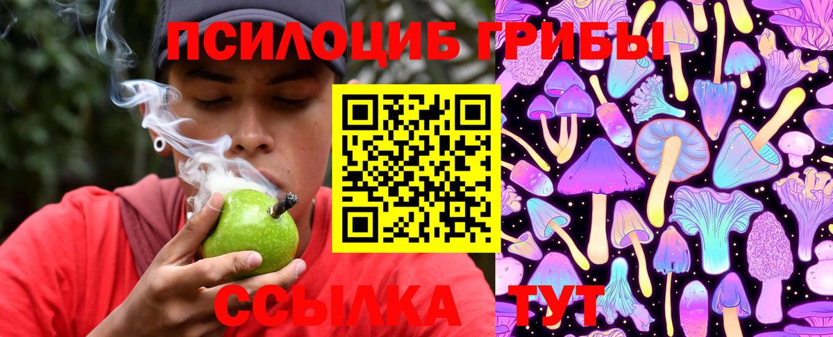 Галлюциногенные грибы прущие грибы  Вход с VPN  Бузулук  Галлюциногенные грибы мицелий 