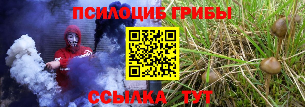 Псилоцибиновые грибы Psilocybine cubensis Бузулук